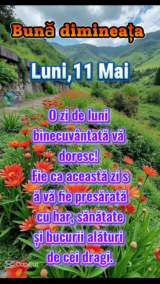 Bună dimineata.