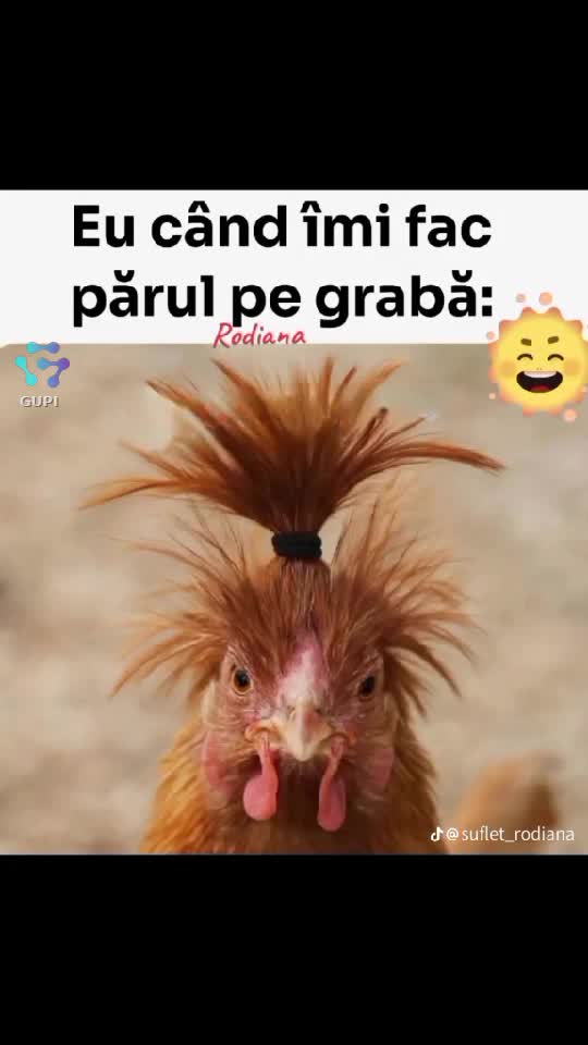Video de @Rodiana