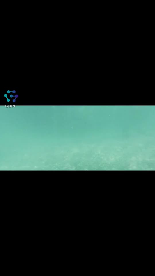 Video de @gupiuser66310