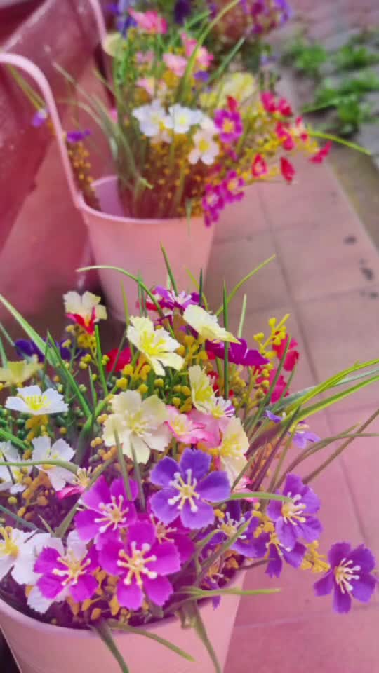 🌸 Lovely Flowers in Romania 🇷🇴    👇🏼 YouTube.com/@GeorgeChristmas