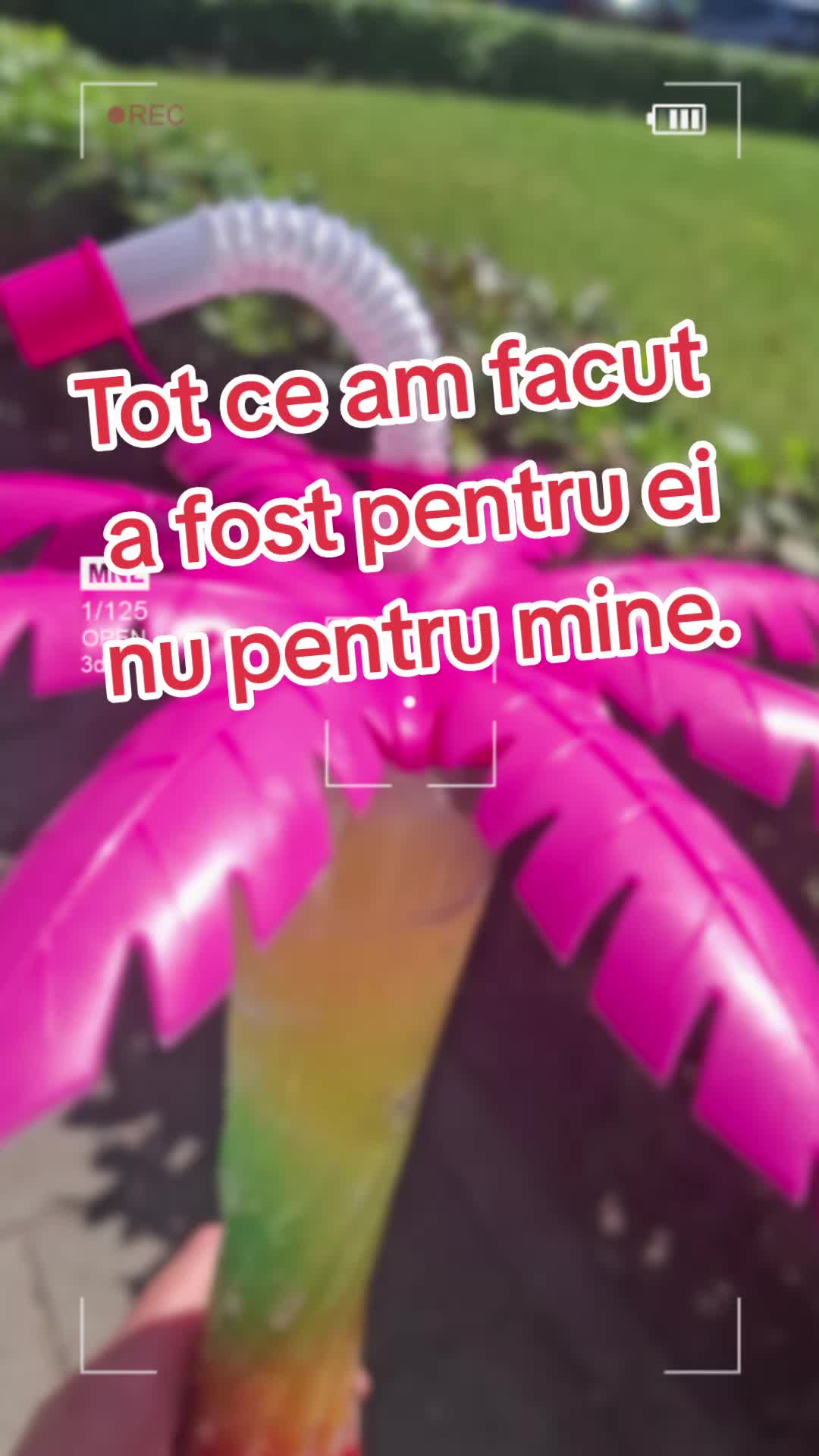 Video de @gupiuser501782