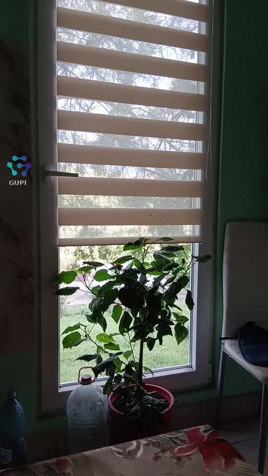 Video de @gupiuser98554