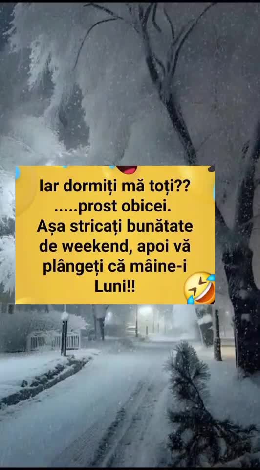 🇷🇴🤪🇷🇴#🇷🇴🤣🤣