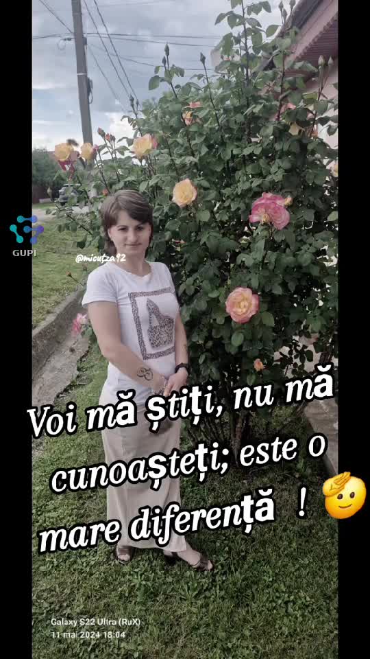 Original Sound - roxana andreia