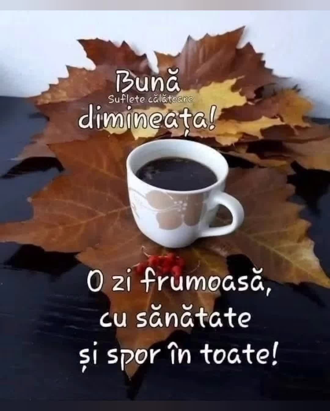 Bună dimineața!