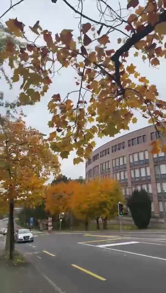 Video de @🇨🇭Vasile1805🇧🇪