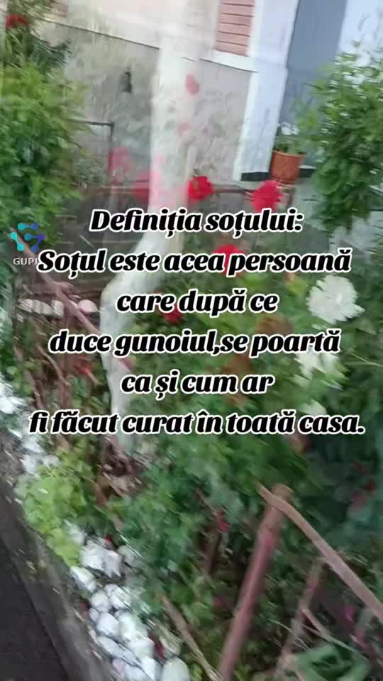 definiția soțului...😂😂😂