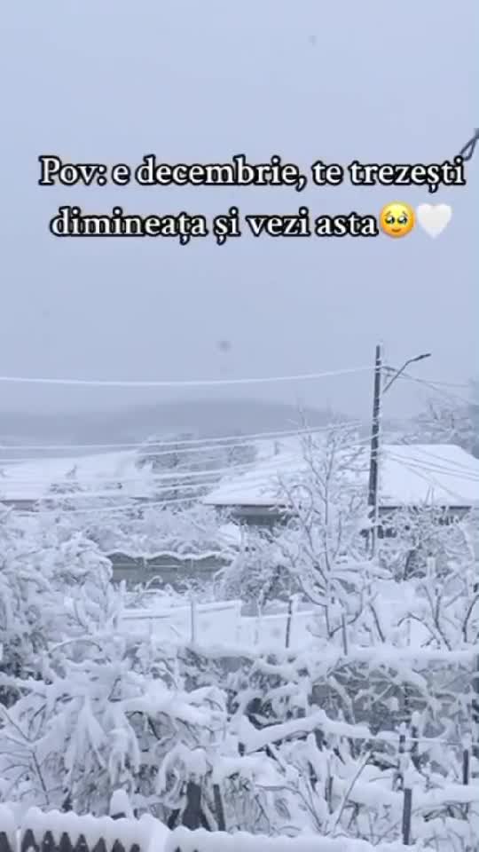 vine iarna