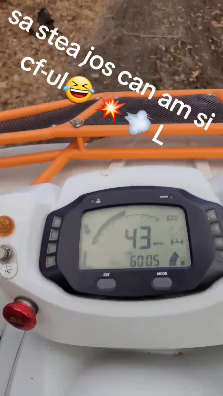 go go, power ,plimbare in padure