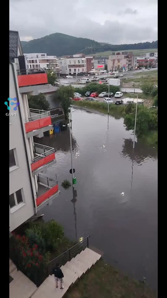 Video de @gupiuser143537