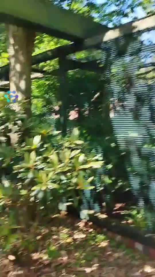 Video de @gupiuser284576