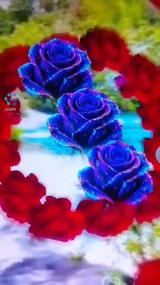 Video de @gupiuser153804