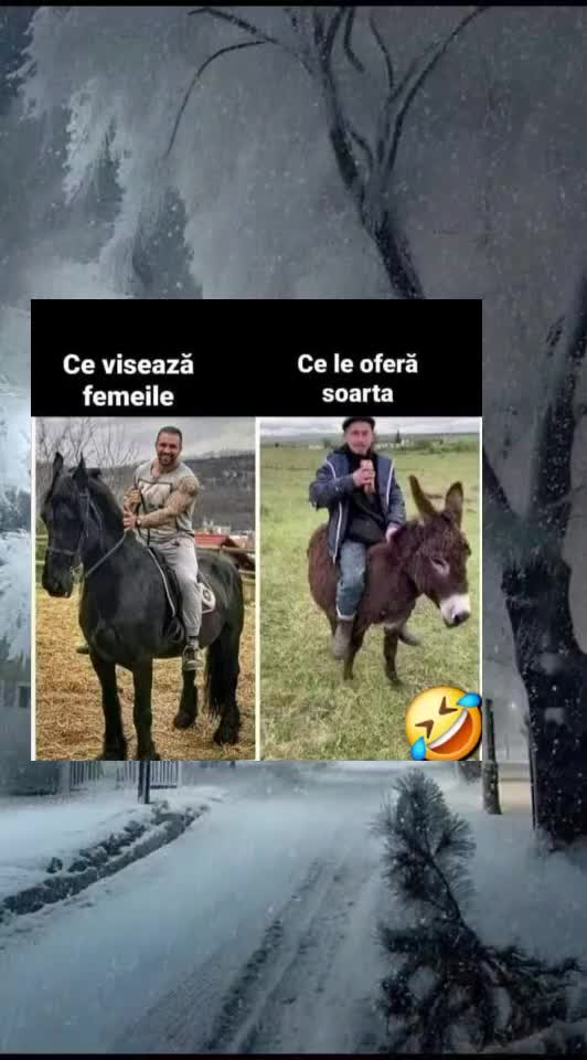 🇷🇴🤪🇷🇴#🇷🇴🤣🤣