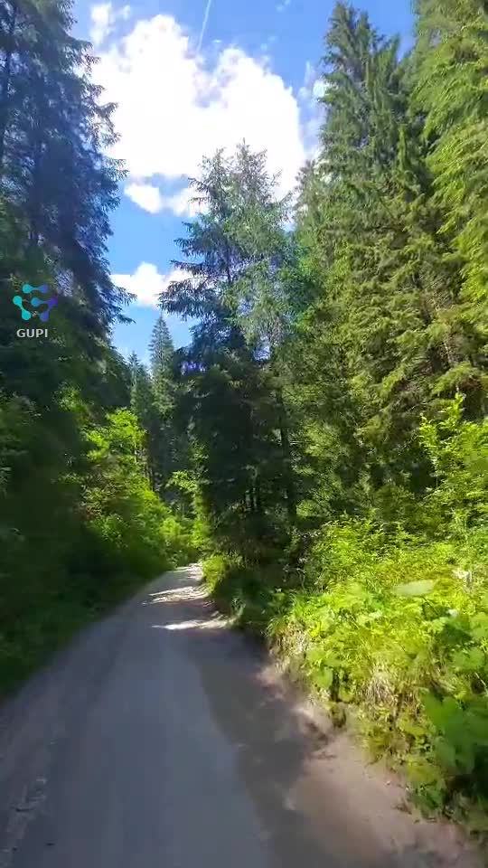 Video de @FLRica06