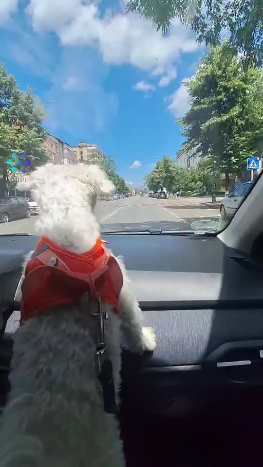 😍😍😍