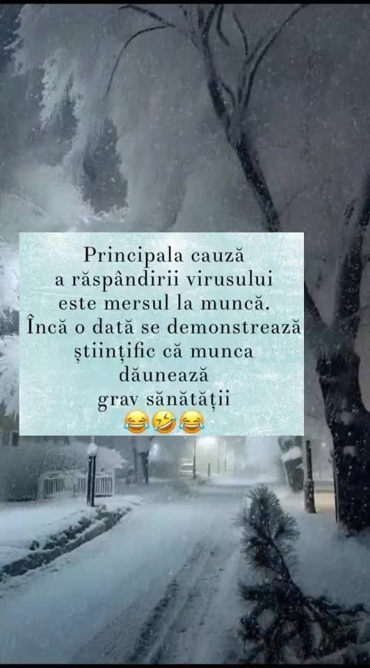 🇷🇴🤪🇷🇴#🇷🇴🤣🤣