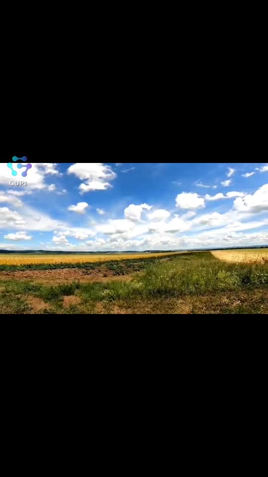 Video de @FLRica06