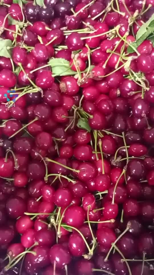 Cireșe 🍒
