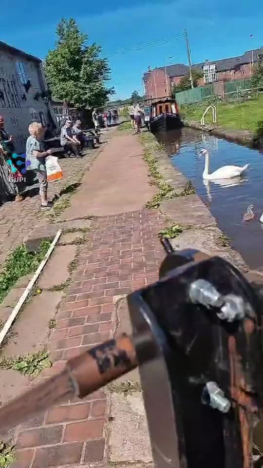 Video de @gupiuser379860