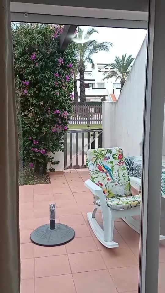 Degeaba ma uit spre portita daca nu apare niciun colindator!😭😭😭