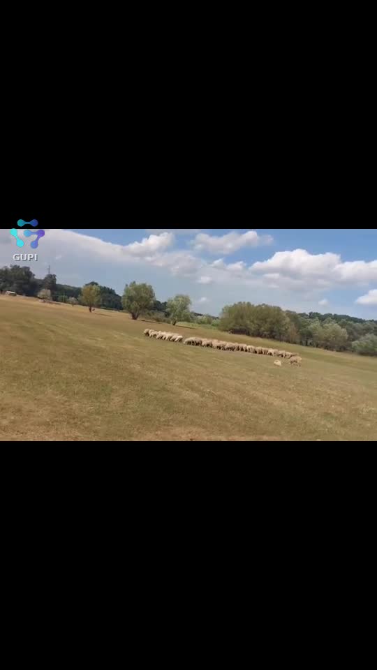 Video de @FLRica06