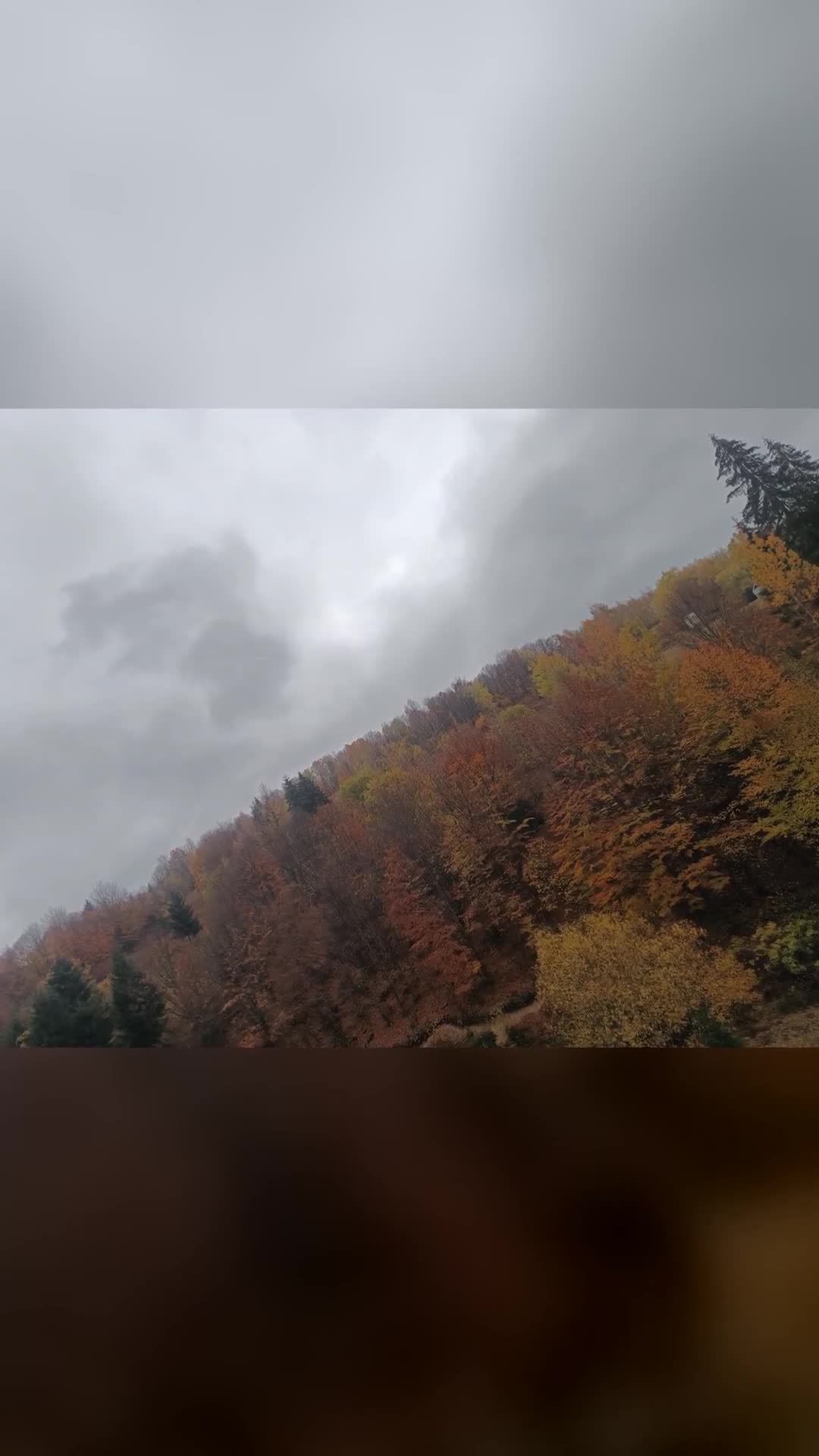 Video de @gupiuser963071