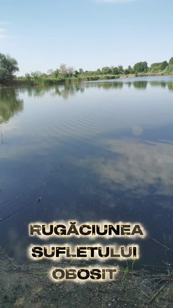 Video de @gupiuser938535