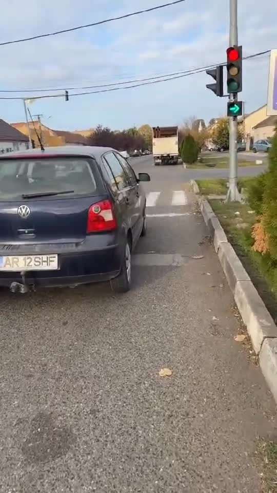 Șofer  de weekend
