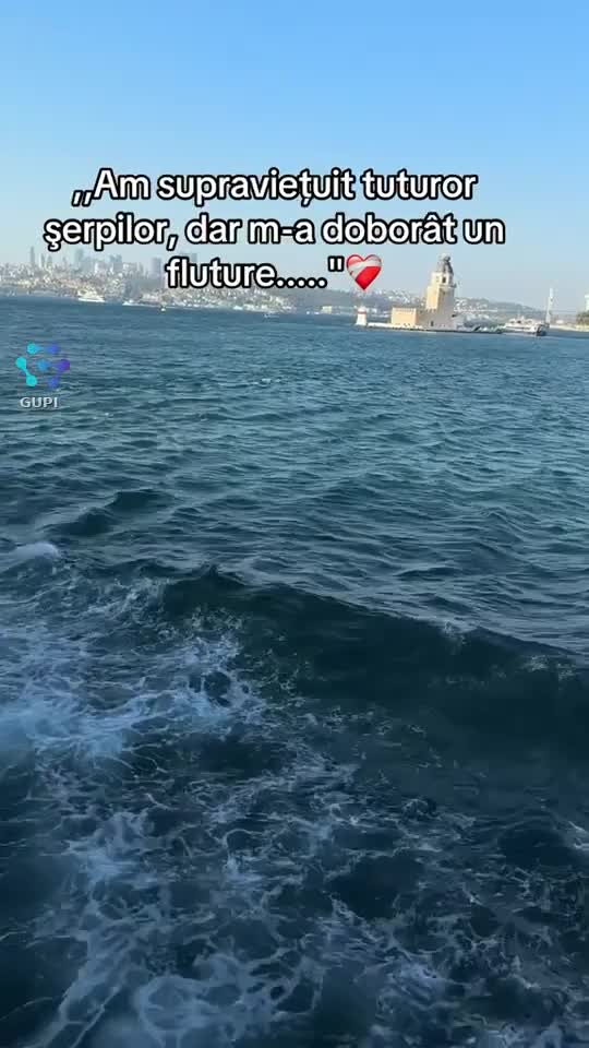 ,,Am supraviețuit tuturor şerpilor, dar m-a doborât un fluture....."❤️‍🩹