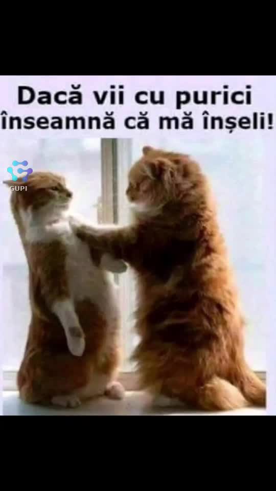 jokes...😁😁