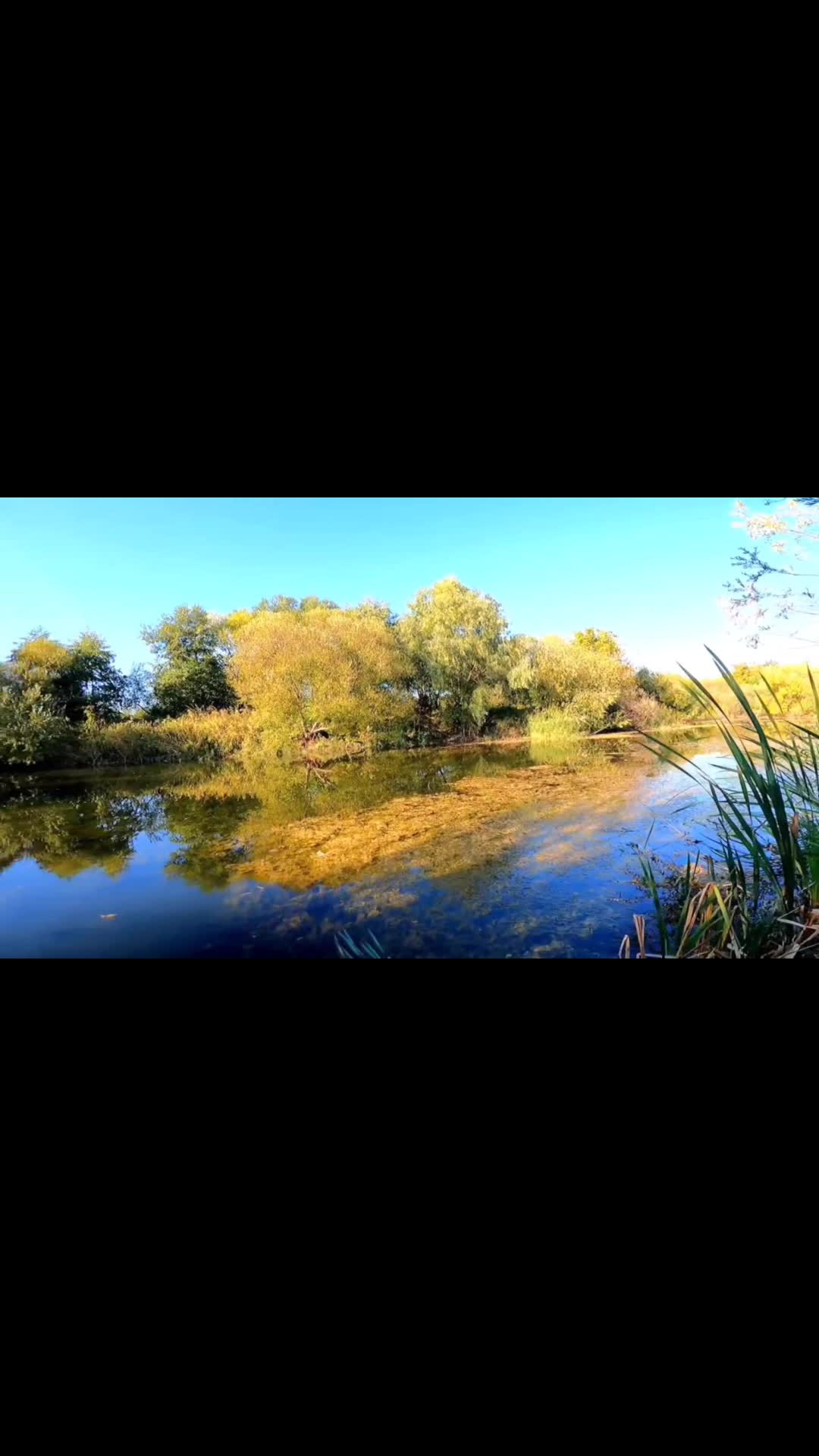 Video de @FLRica06