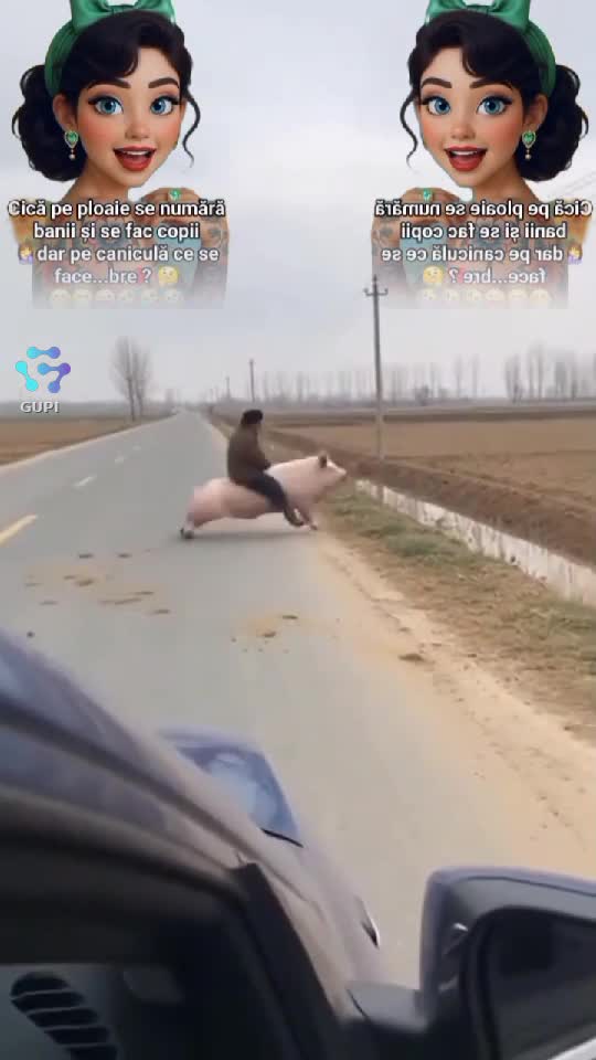 BUNĂ seara tuturor