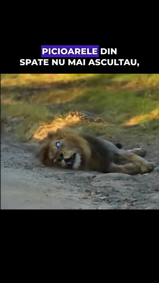 #fapte