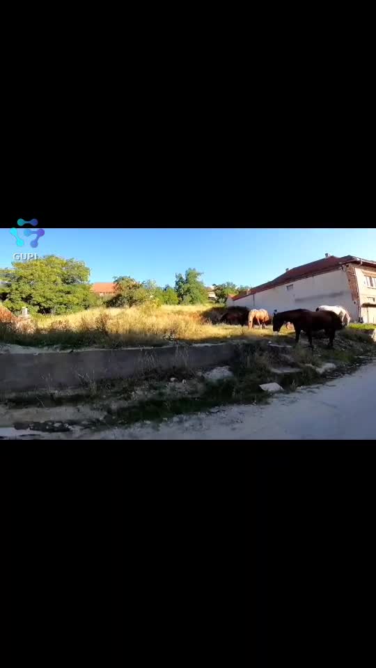 Video de @FLRica06