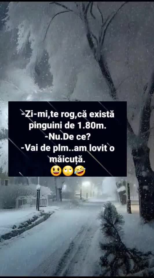 🇷🇴🤪🇷🇴#🇷🇴🤣🤣