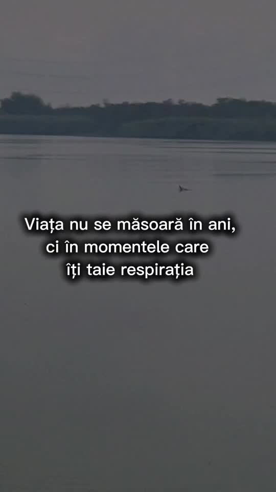 momente nu ani!