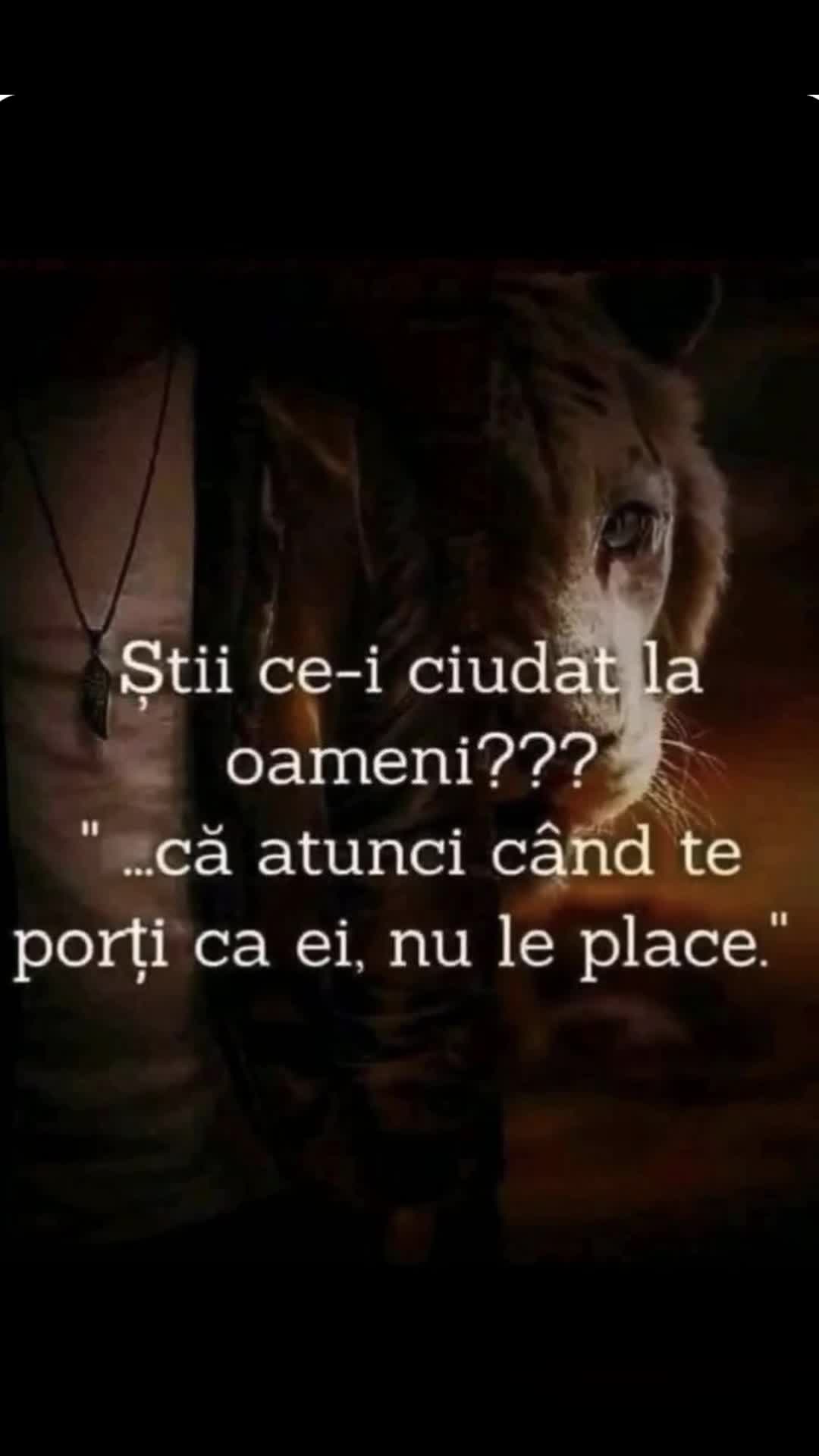 Video de @gupiuser828097