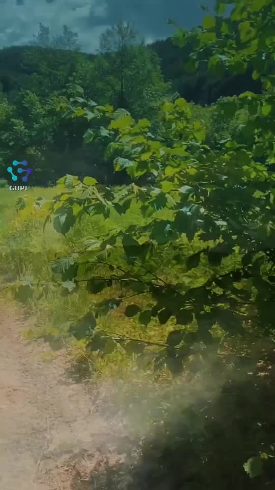 #offroad