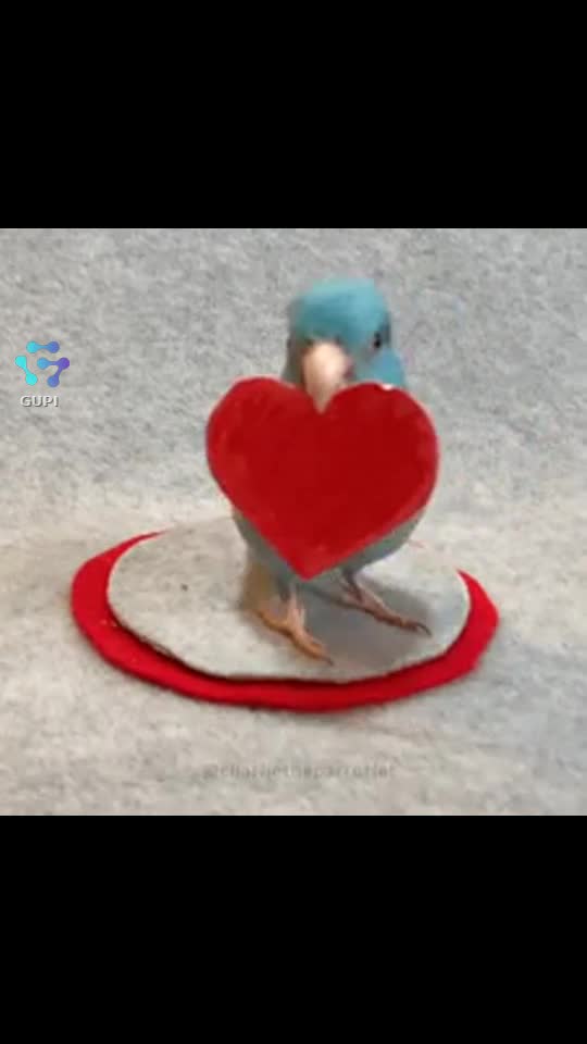 Video de @gupiuser156002