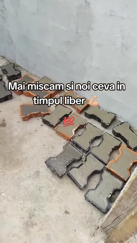 Follow si dau inapoi la toti