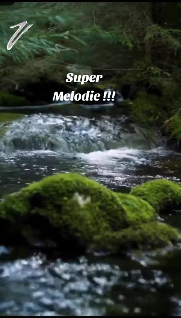 Video de @gupiuser937990
