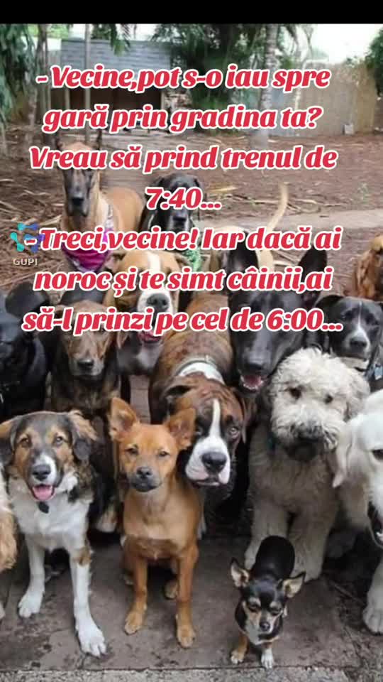 Video de @gupiuser144503