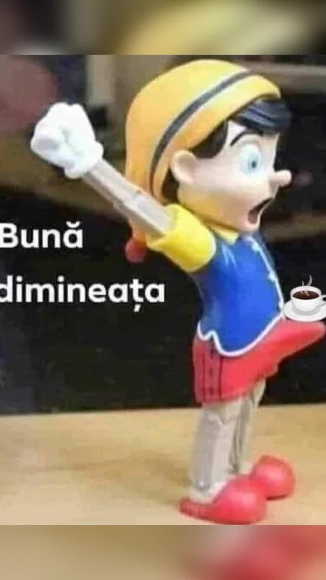 O zi plăcută tuturor!