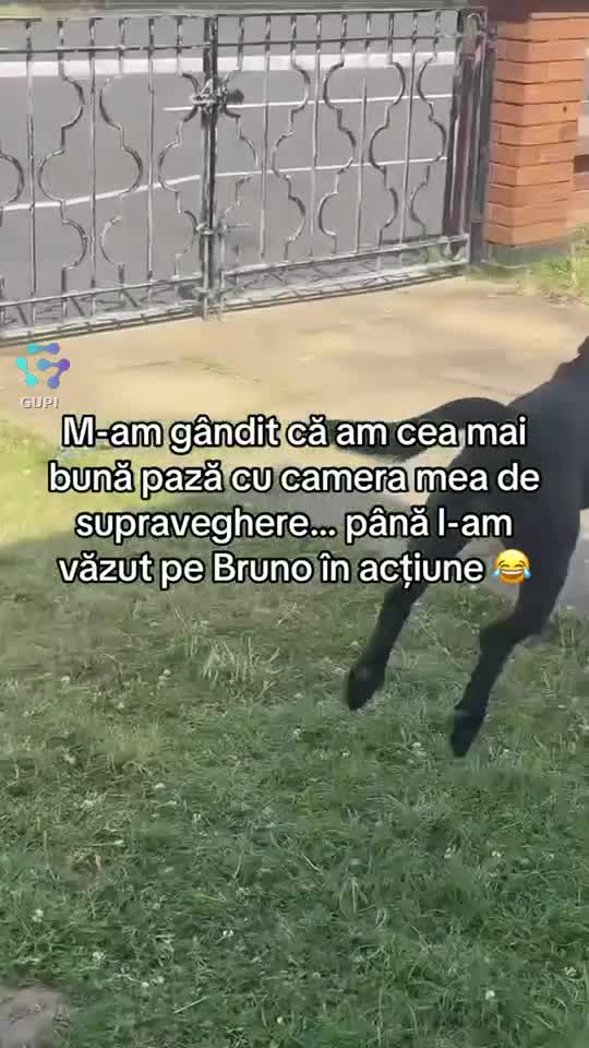 Video de @ZATwzM6wvOaOiApOUL1EpX6vSnk2