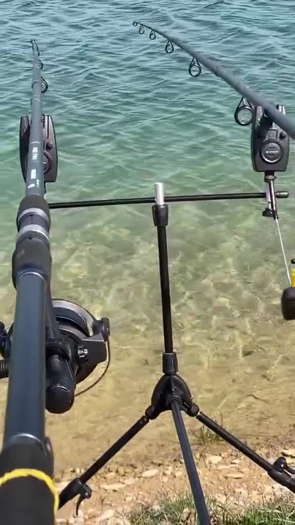Original Sound - 👑🎣andreifish🎣👑