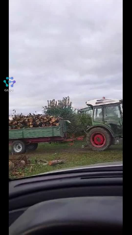 Video de @Lupulalfa96120