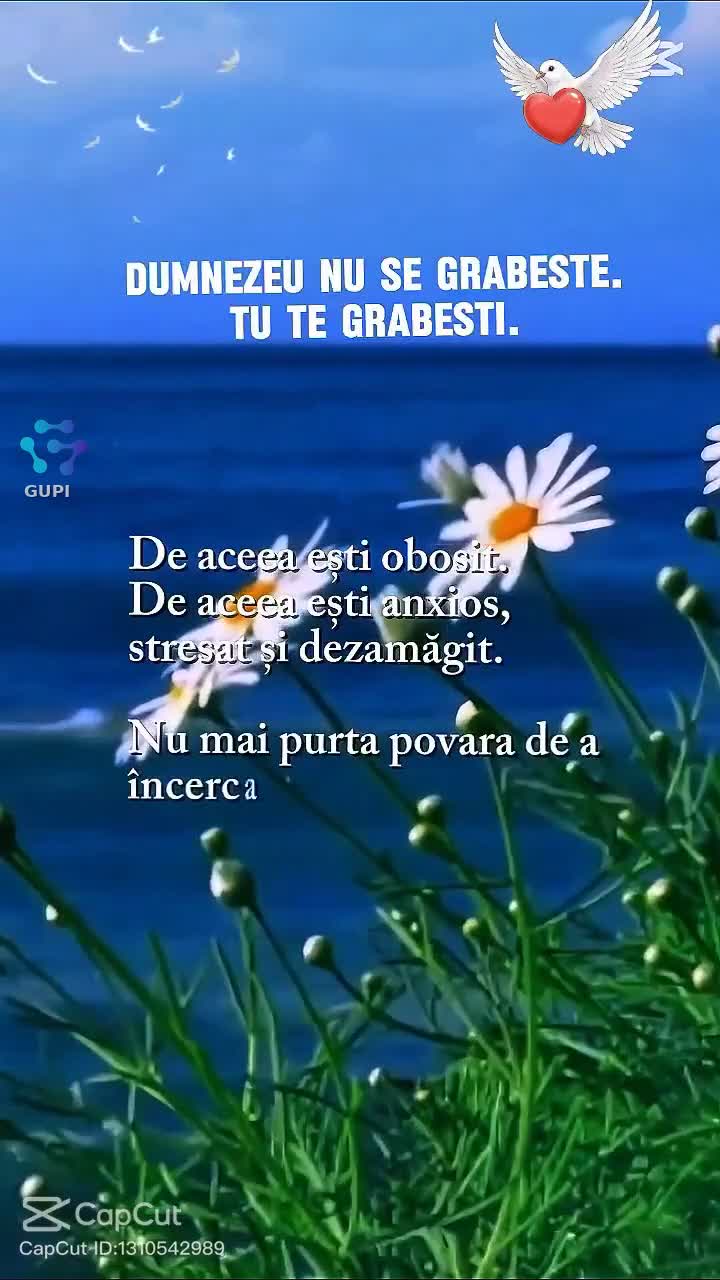Dumnezeu nu se grăbește