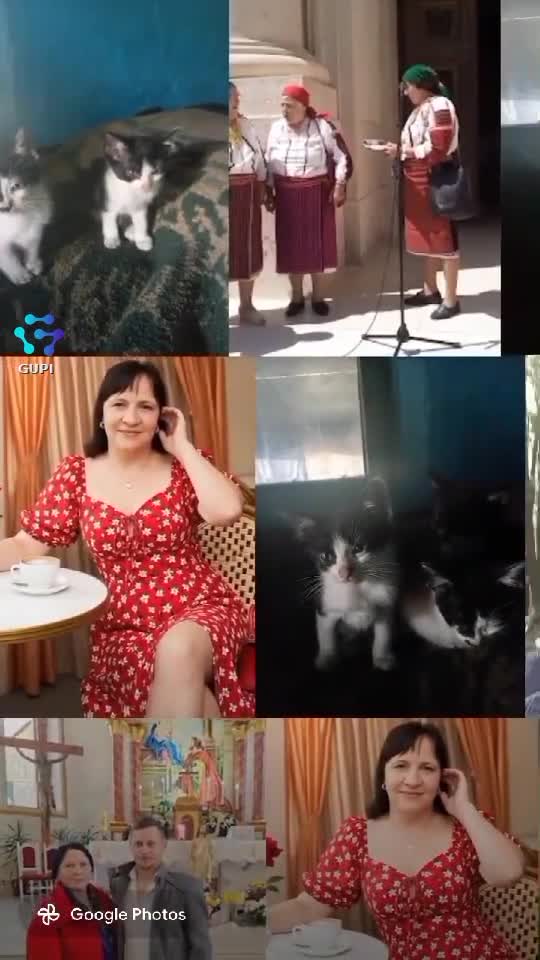 Video de @gupiuser329087