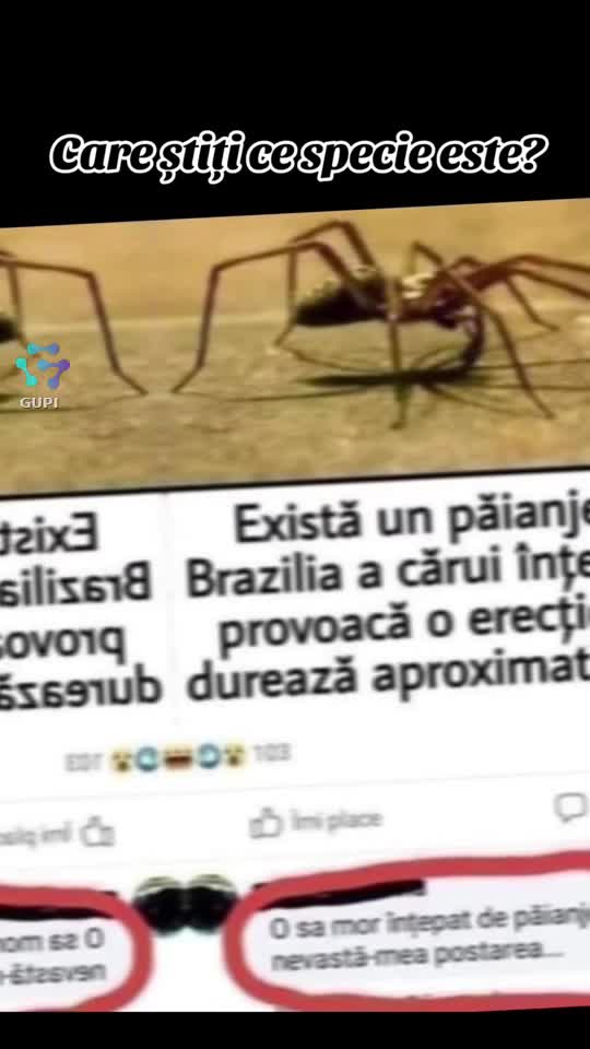 care știe ce specie este...😁😁😁
