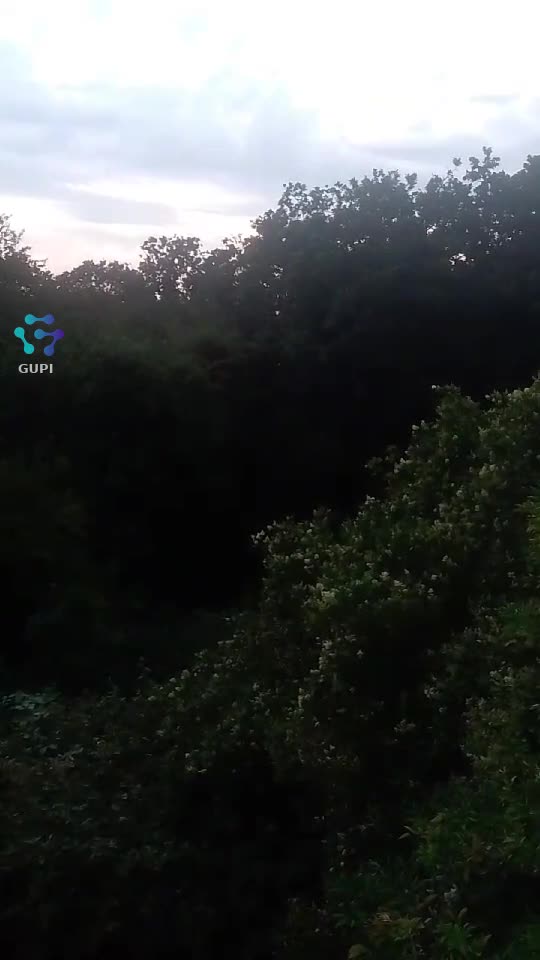 Video de @sergent